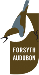 Forsyth Audubon Society Logo and Link