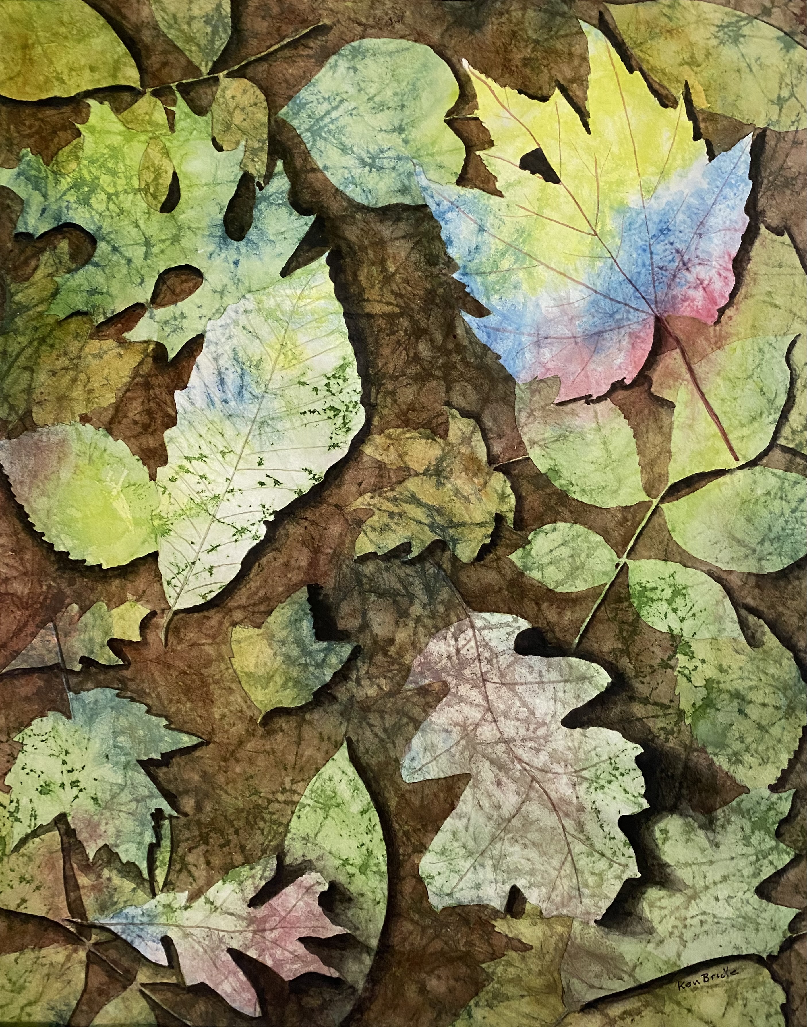 Leaf collage by Ken Bridle header image
