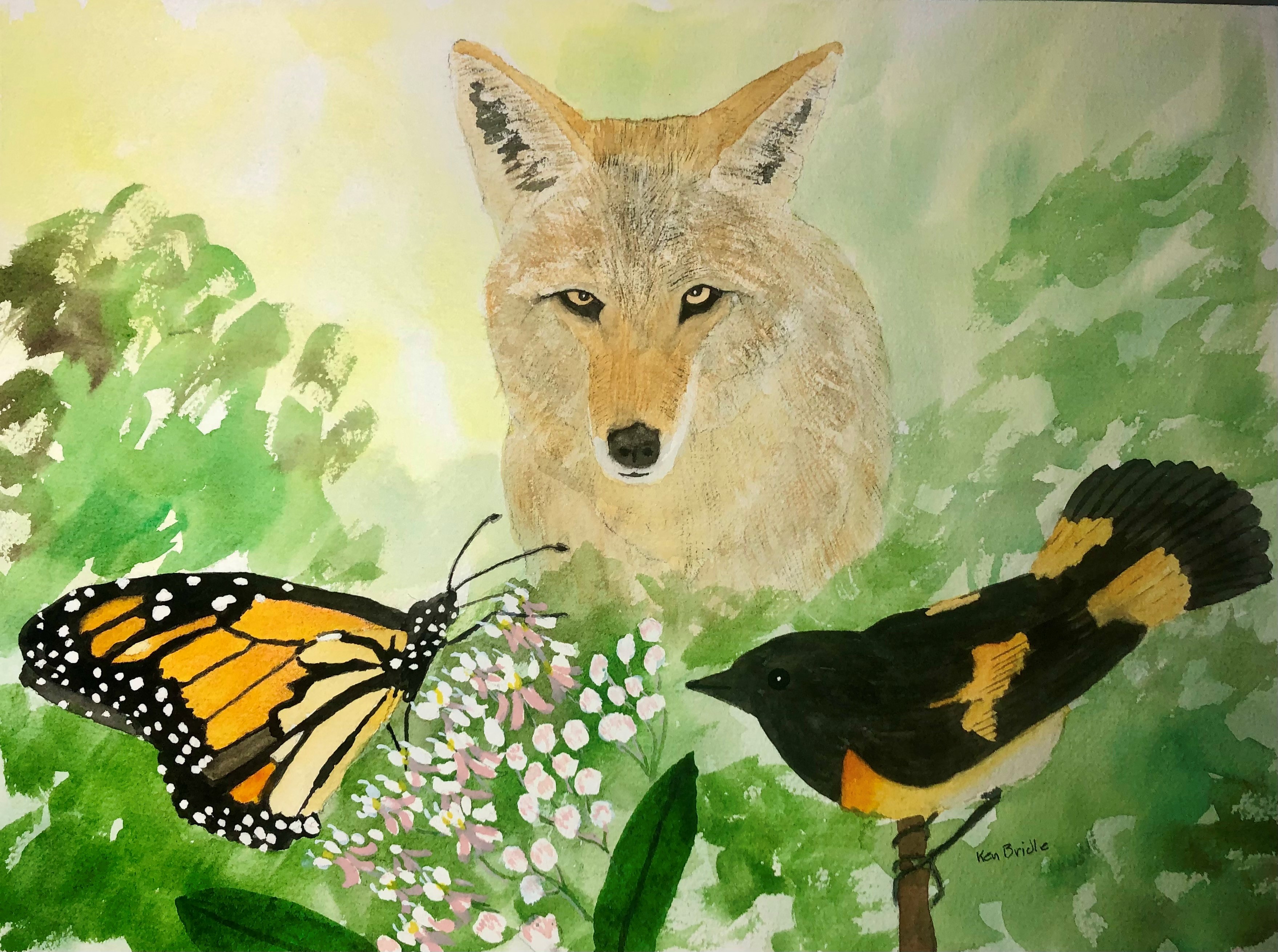 Monarch butterfly, coyote, bird painting by Ken Bridle